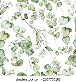 elegant hand drawing eucalyptus leaves pattern