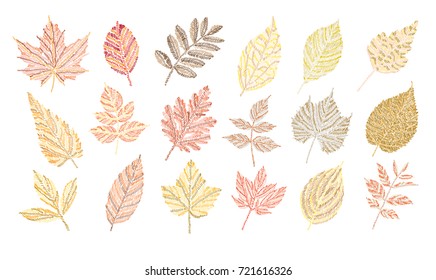 Elegant hand drawn autumn leaves, design elements. Can be used for decorations, fabrics, manufacturing, cards, invitations. Embroidery style. Autumn theme