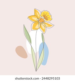 Elegant hand drawn daffodil in vector. Line art illustration.