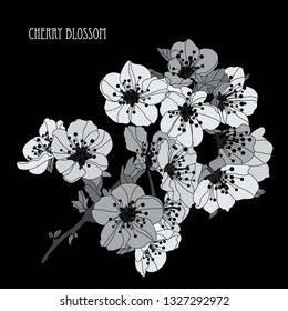 Elegant hand drawn decorative cherry blossom flowers, design element. Floral branch. Floral decoration for invitations, cards, posters, banners, print, scrapbooking, manufacturing. Sakura flowers