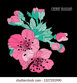 Elegant hand drawn decorative cherry blossom flowers, design element. Floral branch. Floral decoration for invitations, cards, posters, banners, print, scrapbooking, manufacturing. Sakura flowers
