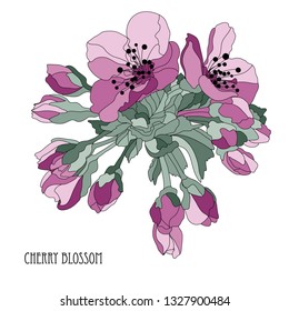 Elegant hand drawn decorative cherry blossom flowers, design element. Floral branch. Floral decoration for invitations, cards, posters, banners, print, scrapbooking, manufacturing. Sakura flowers
