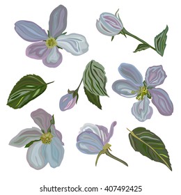 Elegant hand drawn decorative cherry blossom flowers set, design elements. Floral branches. Floral decorations for invitations, greeting cards, banners, patterns, print, fabric, manufacturing