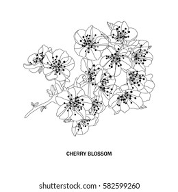 Elegant hand drawn decorative cherry blossom flowers, design element. Floral branch. Floral decoration for invitations, cards, posters, banners, print, scrapbooking, manufacturing. Vintage flowers.