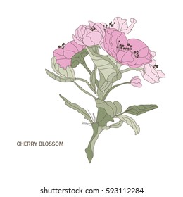 Elegant hand drawn decorative cherry blossom flowers, design element. Floral branch. Floral decoration for invitations, cards, posters, banners, print, scrapbooking, manufacturing. Vintage flowers