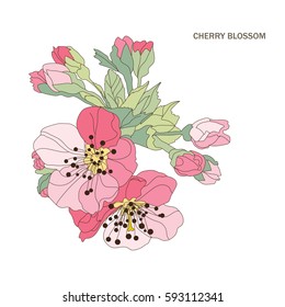 Elegant hand drawn decorative cherry blossom flowers, design element. Floral branch. Floral decoration for invitations, cards, posters, banners, print, scrapbooking, manufacturing. Vintage flowers