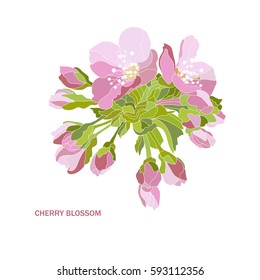 Elegant hand drawn decorative cherry blossom flowers, design element. Floral branch. Floral decoration for invitations, cards, posters, banners, print, scrapbooking, manufacturing. Vintage flowers