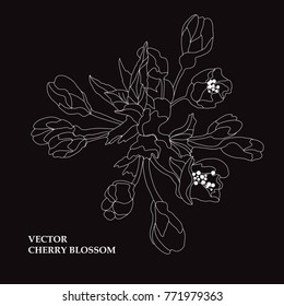 Elegant hand drawn decorative cherry blossom flowers, design element. Floral decoration for cards, invitations of wedding, birthday, valentines, holidays, events