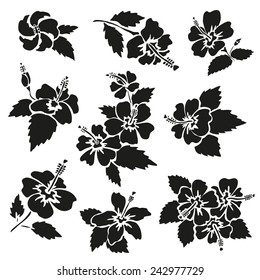 Elegant hand drawn decorative hibiscus flowers, design elements. Can be used for greeting cards, invitations, postcards, scrapbooking, gift wrap, print, manufacturing