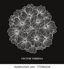 Elegant hand drawn decorative verbena flower, design element. Floral decoration for cards, invitations of wedding, birthday, valentines, holidays, events