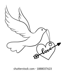 Elegant hand drawn dove with line style. Vector illustration.