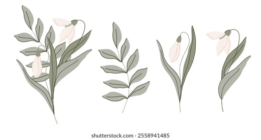 Elegant hand drawn flat botanical illustration with delicate vector snowdrop flowers with soft green leaves. The minimalistic style organic shapes and pastel colors, perfect for nature designs