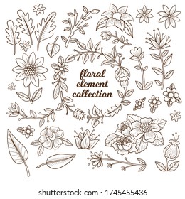 Elegant hand drawn floral element collection