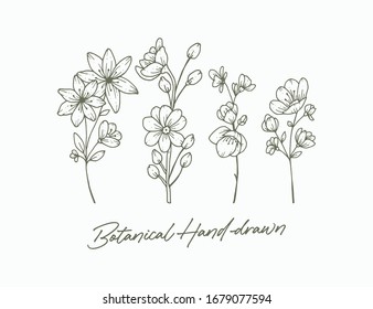 Elegant hand drawn floral logo Premium Vector Design Template