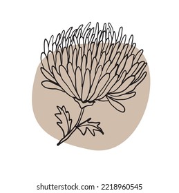 Elegant Hand Drawn Floral Vector Illustration. Black Sketched Peony on a Light Brown Stain and White Background. Simple Abstract Garden Print ideal for Card, Wall Art, Invitation, Greetings or Poster.