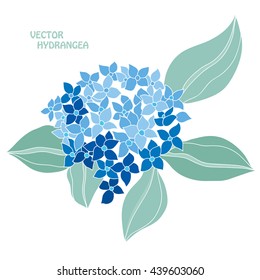 Elegant hand drawn hydrangea flowers, design elements. Can be used for wedding, baby shower, mothers day, valentines day cards, invitations, banners, posters, scrapbooking, gift paper ornament