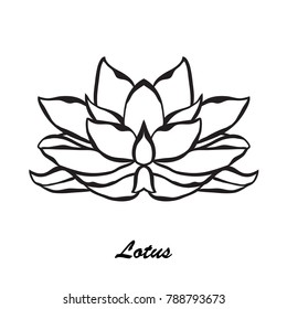 Elegant hand drawn lotus flower, design element. Floral decoration for cards, invitations of wedding, birthday, valentines, holidays, events. Floral theme. Buddhism symbol