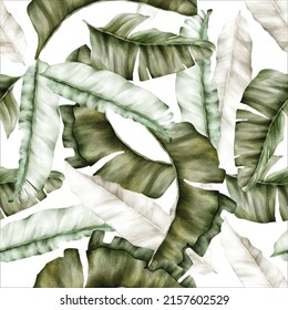 elegant hand drawn luxury banana leaf seamless pattern