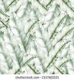 elegant hand drawn luxury banana leaf seamless pattern