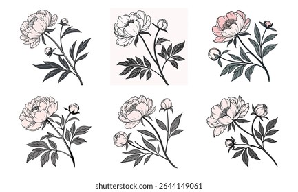 Elegant hand drawn peony flower arrangement bundle with six various floral designs