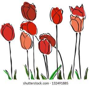 elegant hand drawn red tulips for your spring design