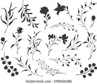 elegant hand drawn sketchy floral elements in black color, twigs branches and flowers set vector illustration