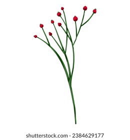 Elegant hand drawn of spring branch