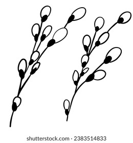 Elegant hand drawn of spring flower