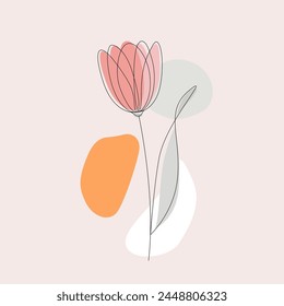 Elegant hand drawn tulip in vector. Line art illustration.