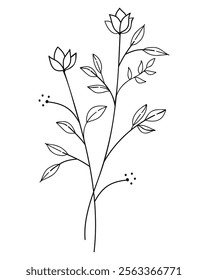 Elegant hand- drawn twigs with leaves in a botanical vector ,perfect for nature inspired and artistic design projects.