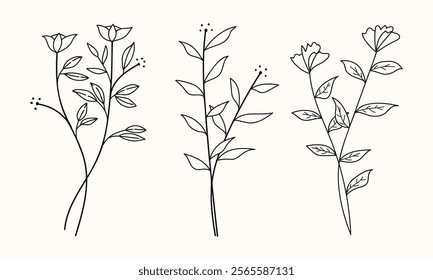 Elegant hand- drawn twigs with leaves in a botanical vector collection, perfect for nature inspired and artistic design projects.