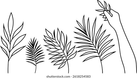 Elegant Hand Holding Palm Leaf Silhouette Simple Botanical Vector Art