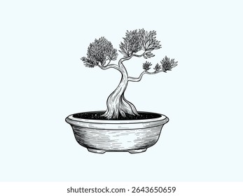 Elegant hand-drawn bonsai tree in a ceramic pot, detailed vintage style, perfect for botanical prints, nature themes, or Asian-inspired designs.