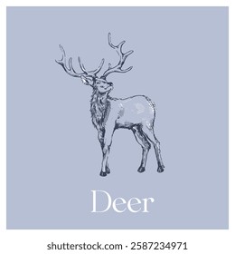 Elegant Hand-Drawn Deer Illustration blue