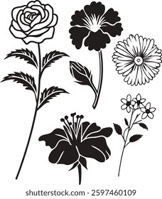 Elegant Hand-Drawn Flowers and Leaves Collection
