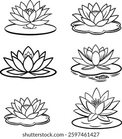 Elegant Hand-Drawn Flowers and Leaves Collection