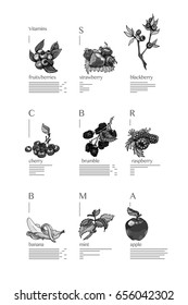 Elegant hand-drawn gray cartoon background juicy vector infographic. Fruit for diet, recipe, cafe, fitness menu, veganism.