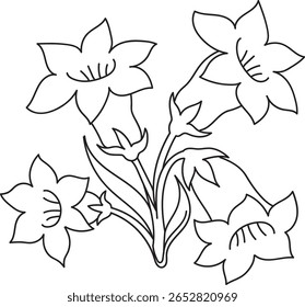 Uma elegante ilustração desenhada à mão, com um conjunto de cinco flores em forma de sino, com linhas de pétalas detalhadas e folhas simples.
