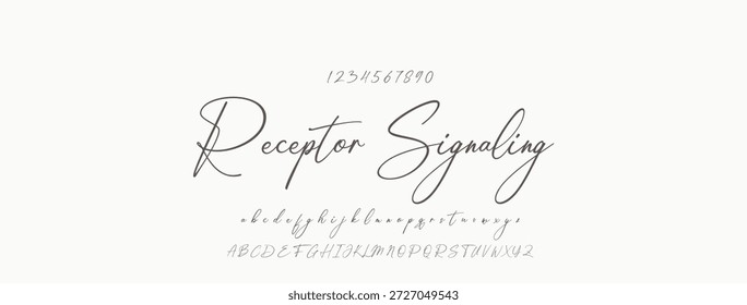 Elegante guion de bienvenida escrito a mano en negro sobre fondo blanco