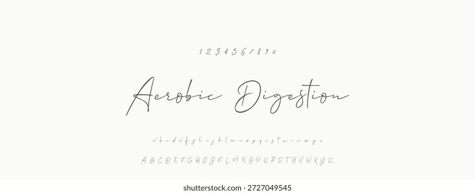 Elegante guion de bienvenida escrito a mano en negro sobre fondo blanco