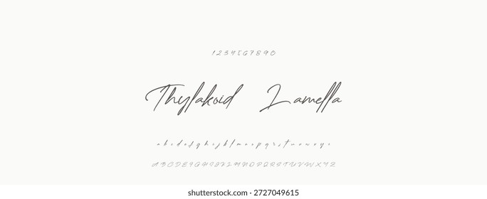 Elegante guion de bienvenida escrito a mano en negro sobre fondo blanco