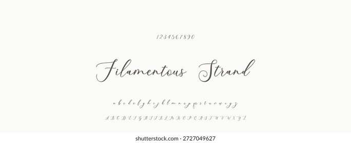 Elegante guion de bienvenida escrito a mano en negro sobre fondo blanco