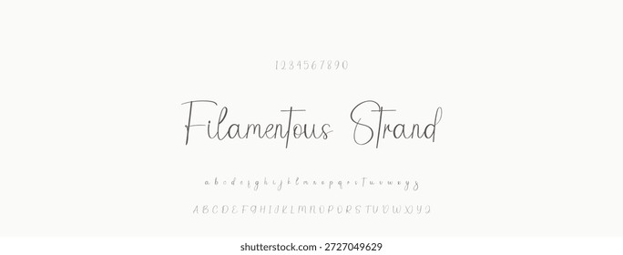 Elegante guion de bienvenida escrito a mano en negro sobre fondo blanco