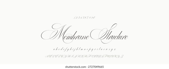 Elegante guion de bienvenida escrito a mano en negro sobre fondo blanco
