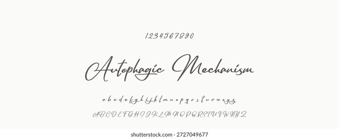 Elegante guion de bienvenida escrito a mano en negro sobre fondo blanco