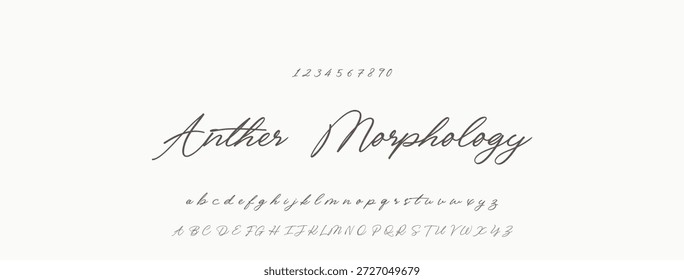 Elegante guion de bienvenida escrito a mano en negro sobre fondo blanco
