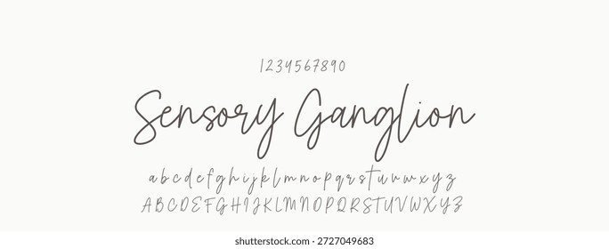 Elegante guion de bienvenida escrito a mano en negro sobre fondo blanco
