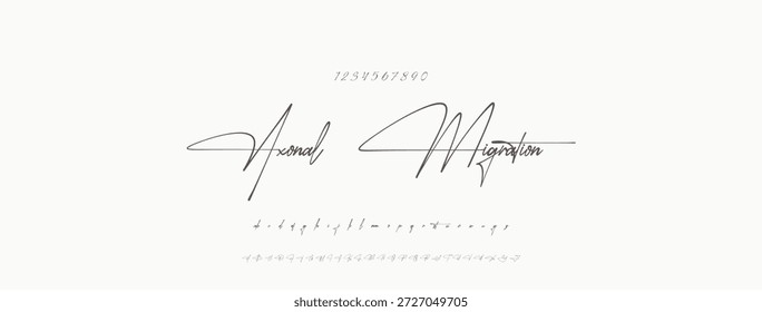 Elegante guion de bienvenida escrito a mano en negro sobre fondo blanco
