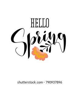 Elegante hallo-Frühlingsschrift und prächtige rosafarbene Blume