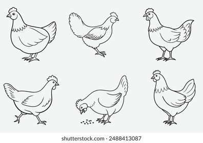 Elegant Hen Line Art Set Vector, High-Quality and Versatile Designs